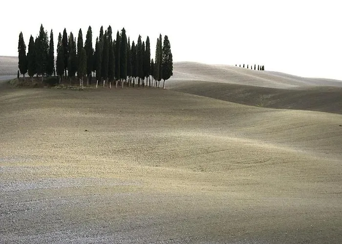 Apartamento K2 Montalcino *